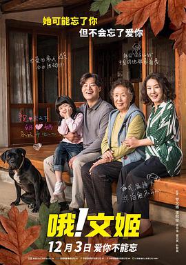 国产精品视频观看