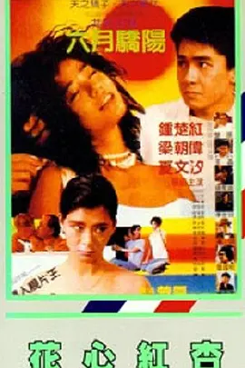 女海盗1080p