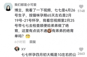 娱乐吃瓜君流量,揭秘流量背后的秘密与真相