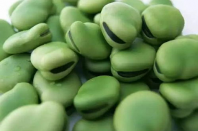 娱乐吃瓜又吃豆