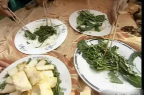 吃瓜娱乐圈菜,揭秘明星幕后故事