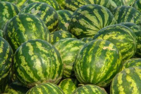 娱乐吃瓜酱广西,吃瓜酱带你探秘八桂之地