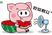 2022娱乐吃瓜动画,笑料百出，笑翻全网