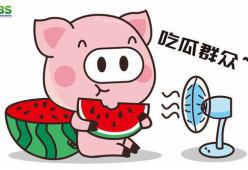 2022娱乐吃瓜动画,笑料百出，笑翻全网