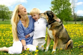 假如狗会说话娱乐吃瓜酱,娱乐吃瓜酱带你领略狗狗界的趣味日常