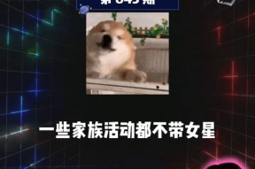 娱乐吃瓜群众在线,揭秘明星幕后故事