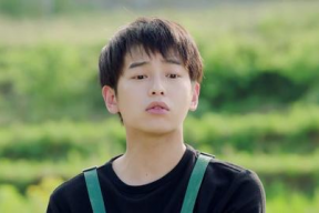 爱豆吃瓜娱乐酱张晚意,爱豆吃瓜娱乐酱，揭秘娱乐圈幕后故事