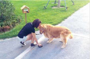 娱乐吃瓜养狗视频在线观看,在线观看乐翻天！