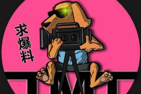 娱乐吃瓜团队,吃瓜团队带你探秘明星幕后故事