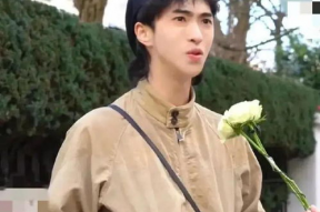 娱乐八卦吃瓜阵地是什么,揭秘明星幕后故事