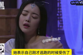 娱乐吃瓜少女阿飘,揭秘灵异世界的趣味日常