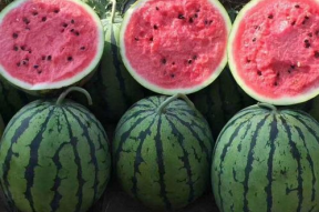 安排好行程娱乐吃瓜酱,吃瓜酱助力行程精彩纷呈”