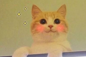 猫猫永不为奴娱乐吃瓜酱